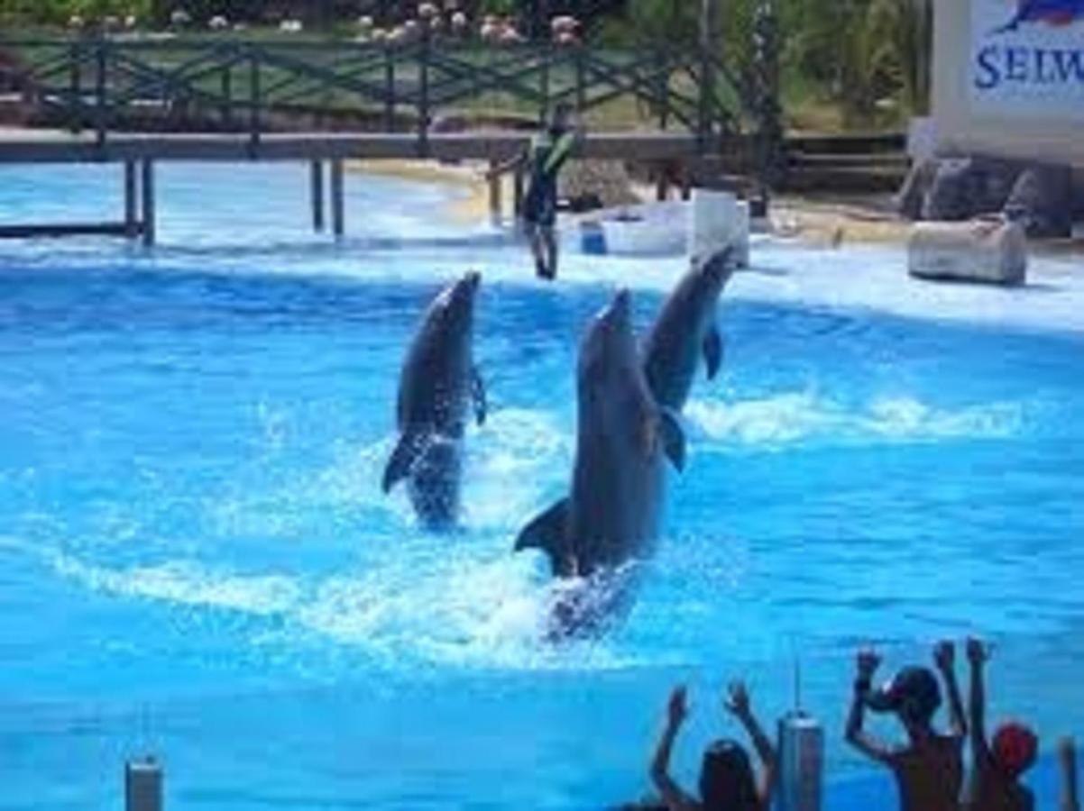 "Vive Benal Beach" Estudio 2501, Vistas Al Mar Y Parque Acuatico Benalmádena Esterno foto